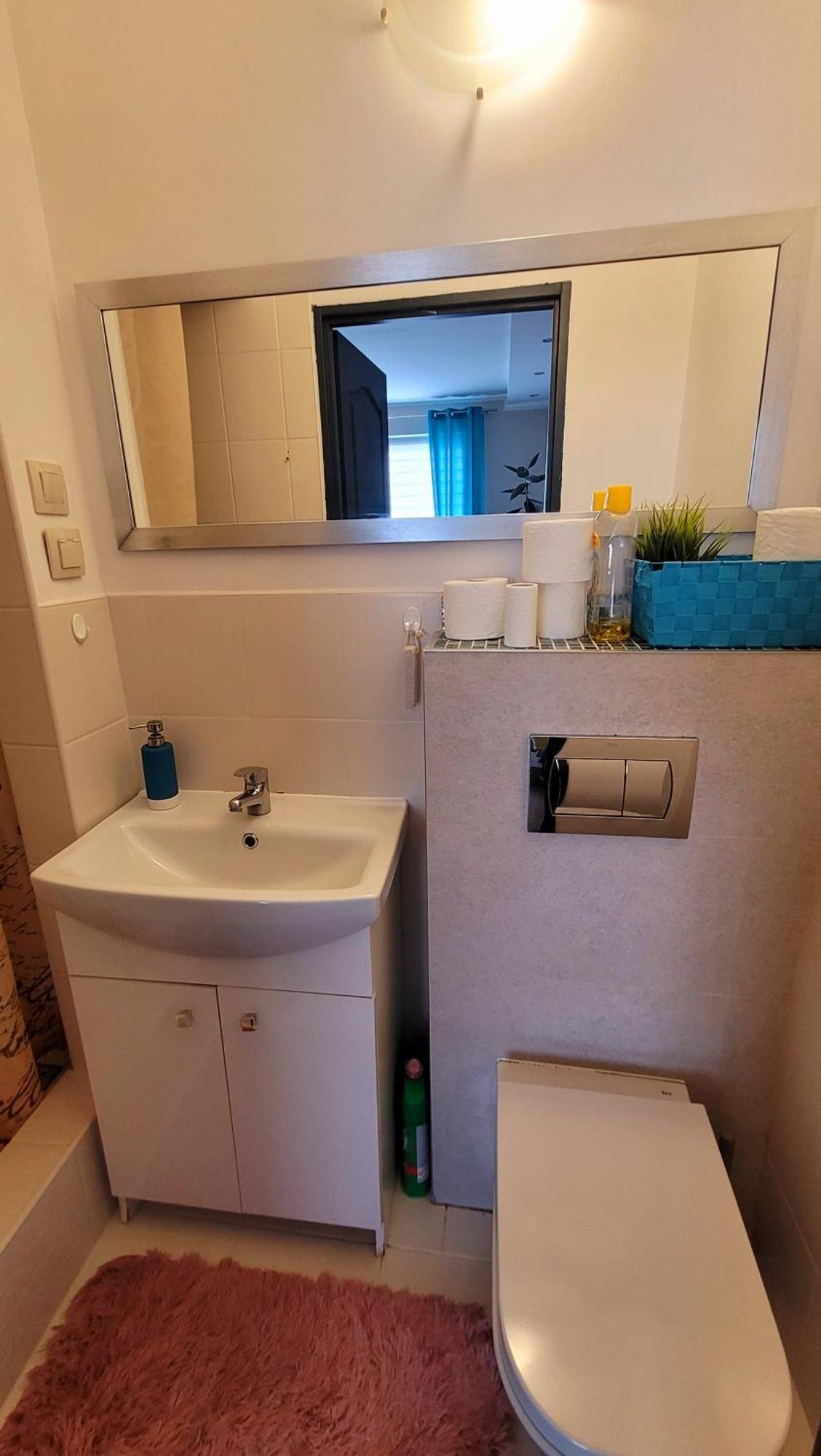 Apartament Brzoza Bydgoska Εξωτερικό φωτογραφία